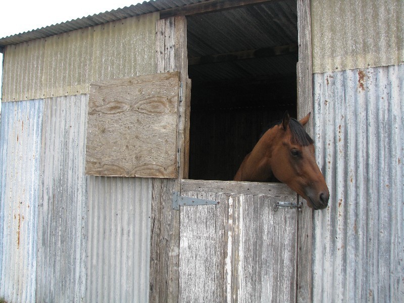 Lot 2 Cnr Murrumb Rd & Hume Highway, Wingello NSW 2579