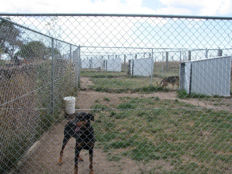 Lot 2 Cnr Murrumb Rd & Hume Highway, Wingello NSW 2579