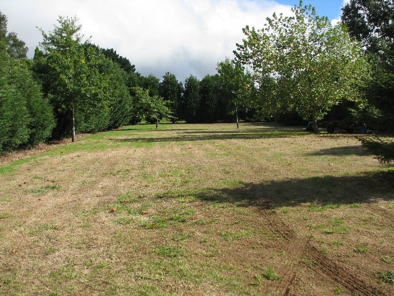 136 Caalong, Robertson NSW 2577