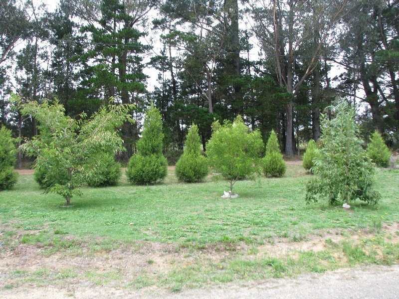 21 Starlight Avenue, Wingello NSW 2579