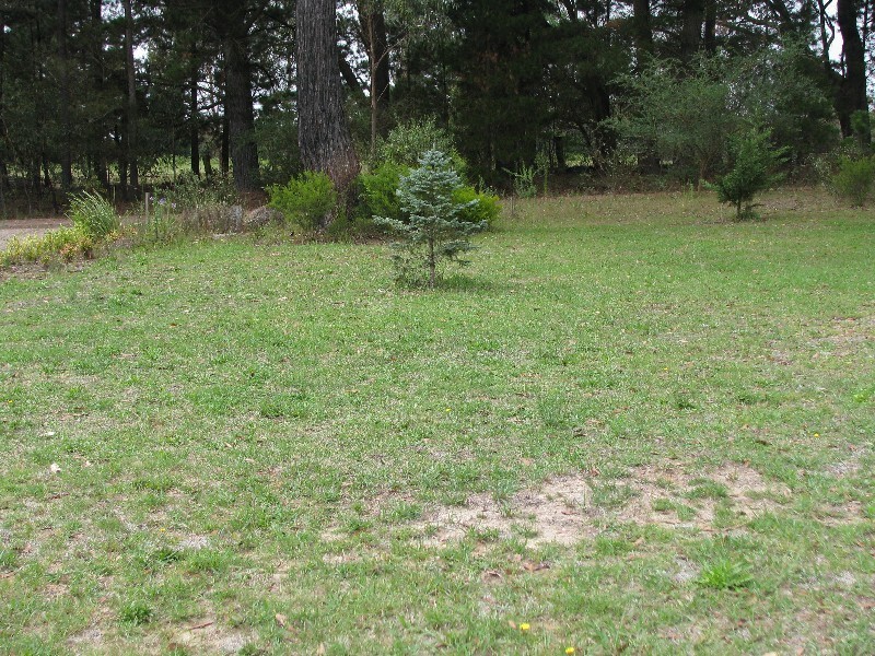 21 Starlight Avenue, Wingello NSW 2579