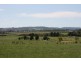 Lot 2 Oldbury Road, Sutton Forest NSW 2577