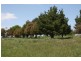 Lot 1 Oldbury Road, Sutton Forest NSW 2577