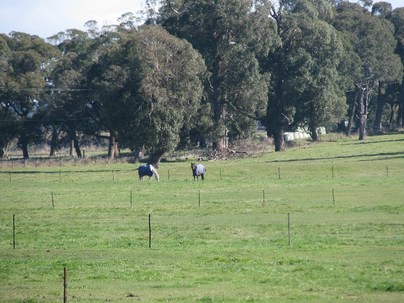 Exeter NSW 2579