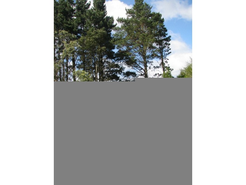 295 Cloonty Road, Carrington Falls NSW 2577