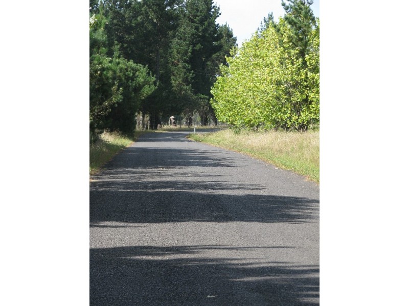 295 Cloonty Road, Carrington Falls NSW 2577