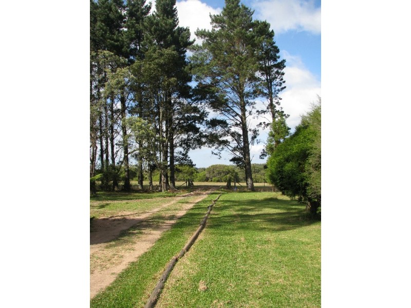 295 Cloonty Road, Carrington Falls NSW 2577