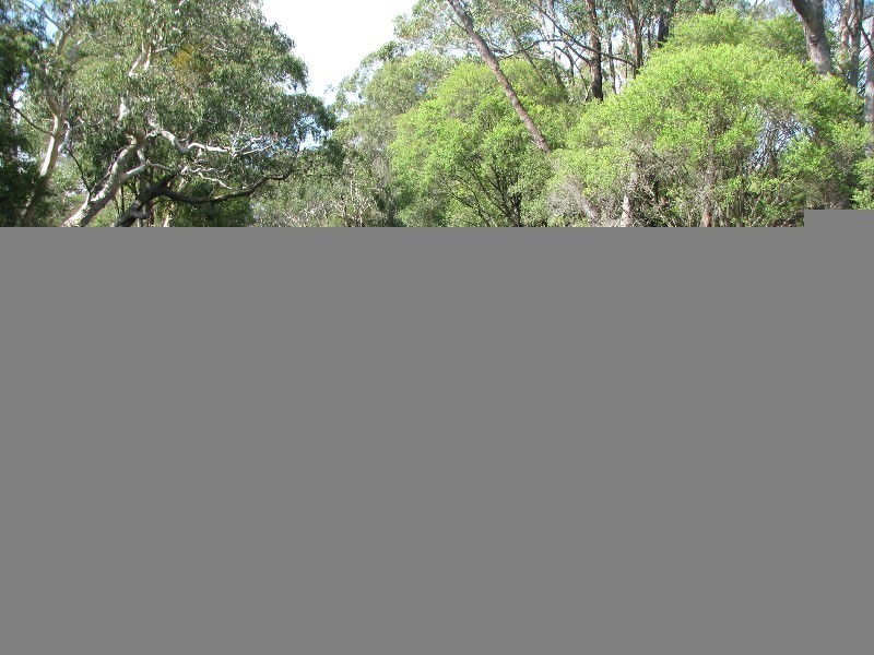 295 Cloonty Road, Carrington Falls NSW 2577