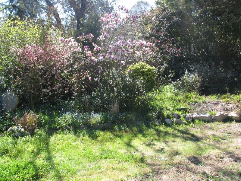 42 Throsby Street, Moss Vale NSW 2577