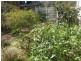 42 Throsby Street, Moss Vale NSW 2577