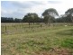 372 Inverary Road, Paddys River NSW 2577