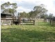 372 Inverary Road, Paddys River NSW 2577
