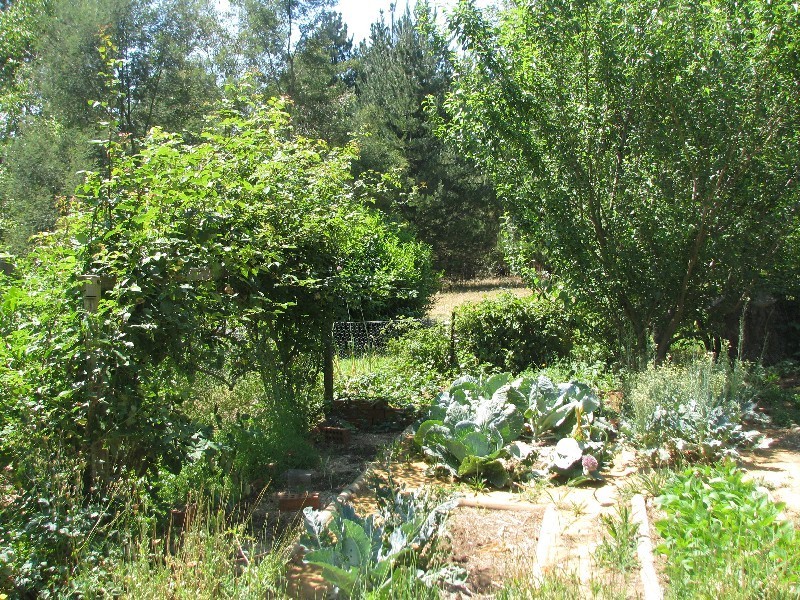 905 Penrose Road, Penrose NSW 2579