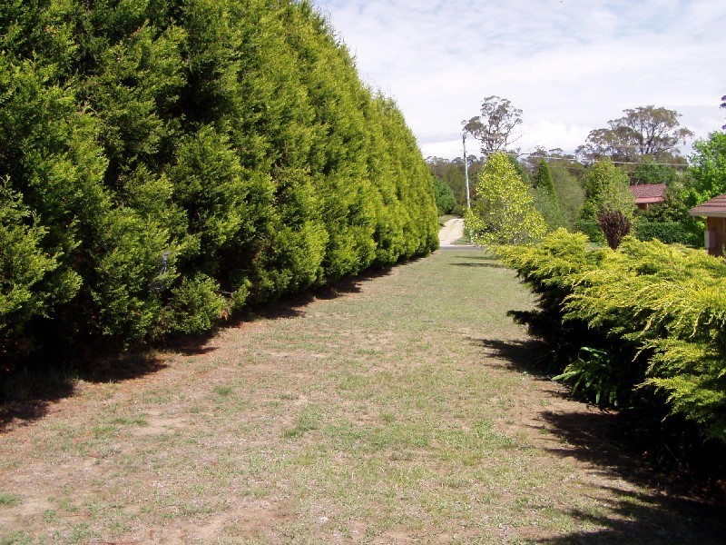 15 Watkins Drive, Moss Vale NSW 2577