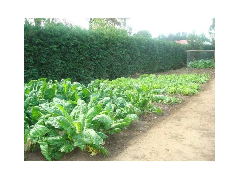 28 Lytton Road, Moss Vale NSW 2577