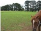 660 Ellsmore Road, Exeter NSW 2579