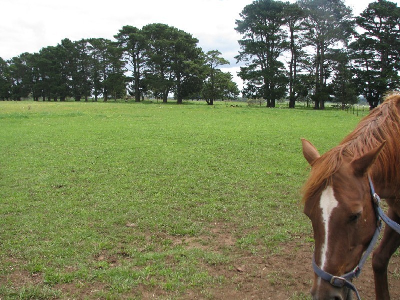 660 Ellsmore Road, Exeter NSW 2579