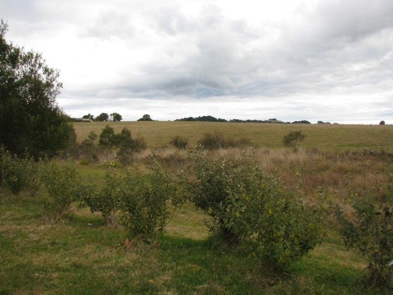 4 Morrice Court, Moss Vale NSW 2577