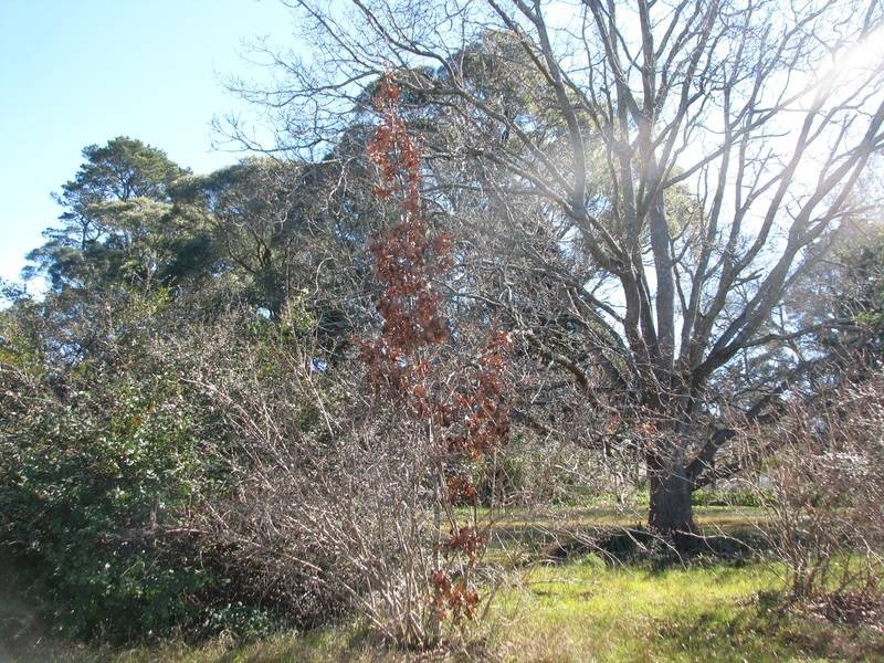 Lot 11 Church Road, Moss Vale NSW 2577