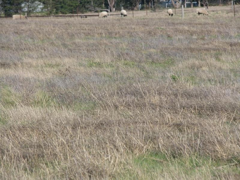 Lot 18,  Maclura Drive, Marulan NSW 2579