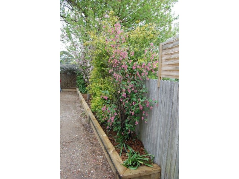 25 Albany Road, Moss Vale NSW 2577