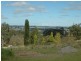 7 Orchard Road, Bowral NSW 2576
