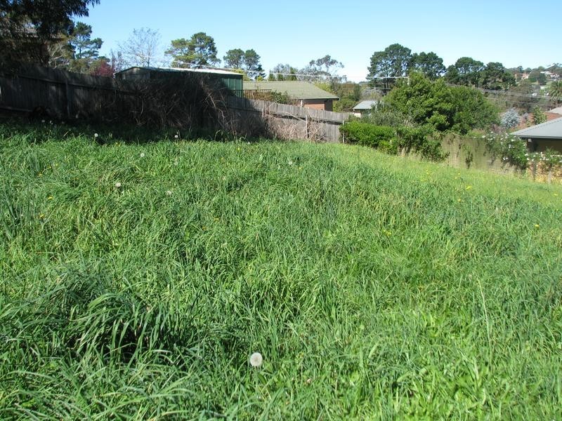 38 Semkin Street, Moss Vale NSW 2577