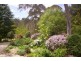 84 Newbury Drive, Penrose NSW 2579