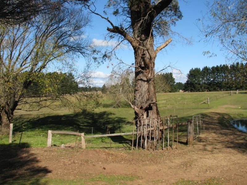 10 Coney Hatch Lane, Sutton Forest NSW 2577