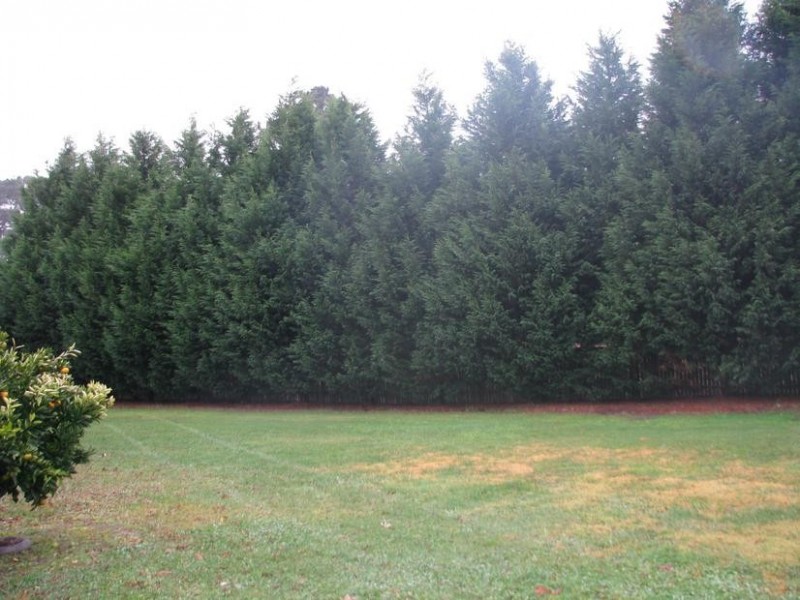 16 Wembley Road, Moss Vale NSW 2577