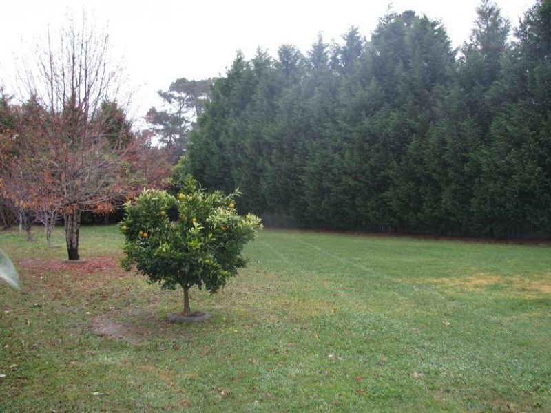 16 Wembley Road, Moss Vale NSW 2577