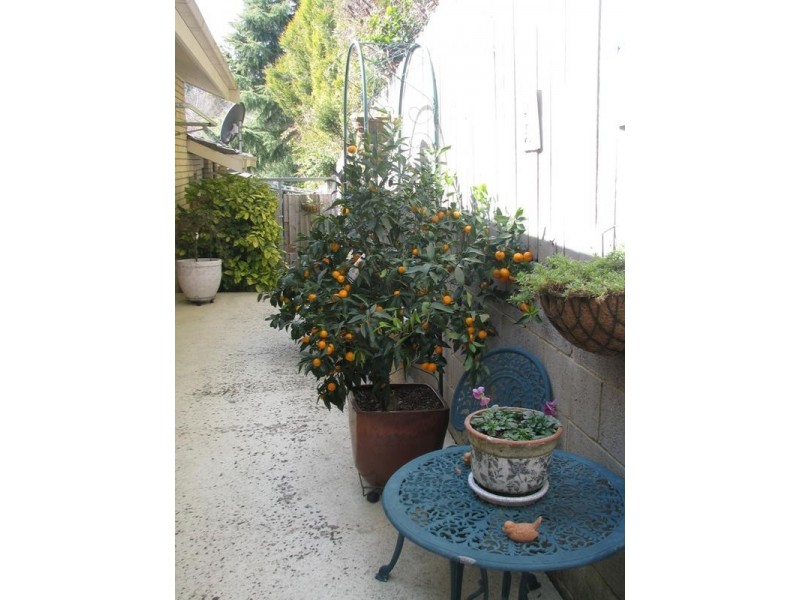 6/10 Arthur Street, Moss Vale NSW 2577