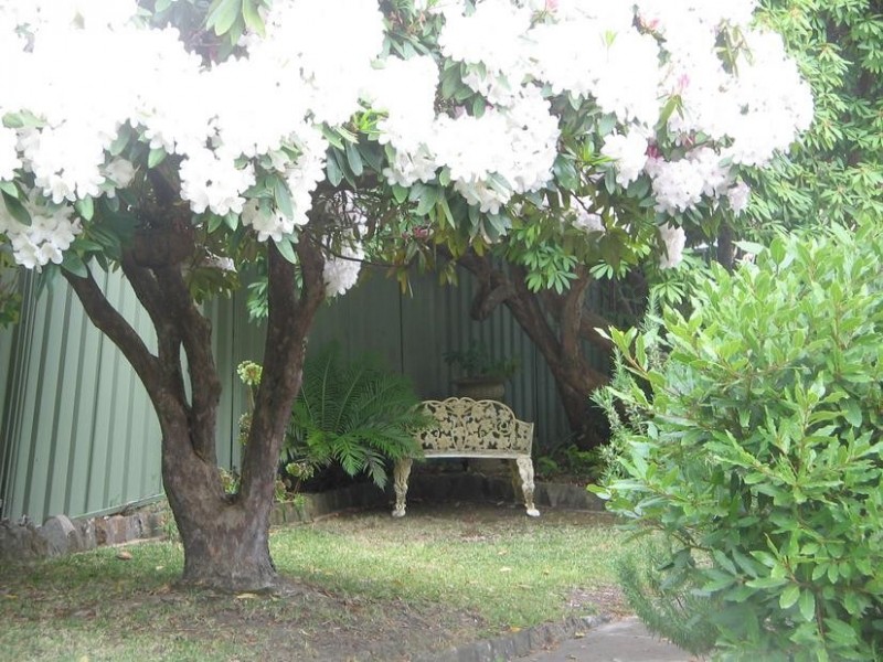 31 Railway Ave, Bundanoon NSW 2578