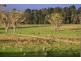 56 Somerset Road, Fitzroy Falls NSW 2577
