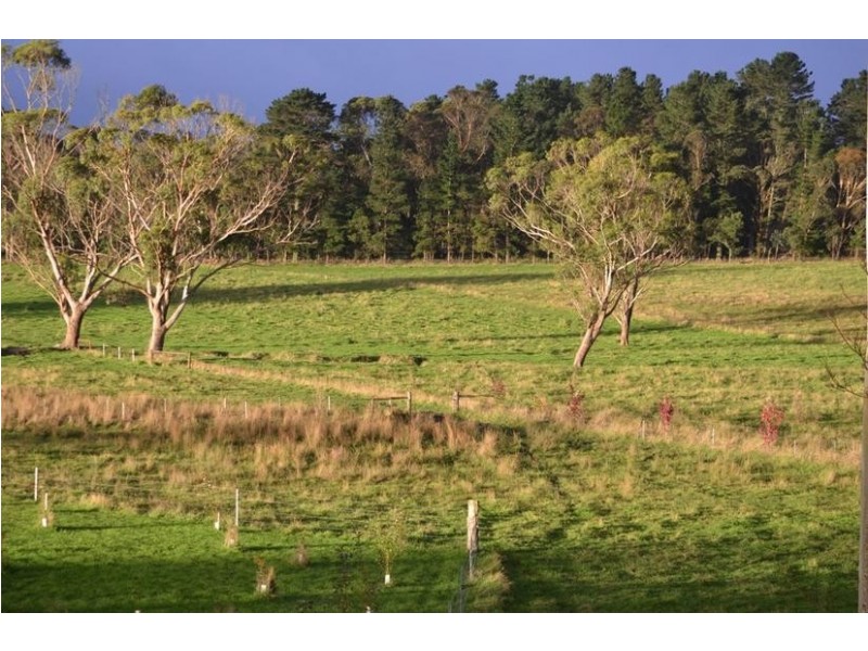 56 Somerset Road, Fitzroy Falls NSW 2577