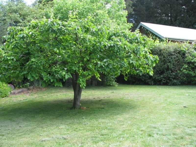 71 Broughton Street, Moss Vale NSW 2577