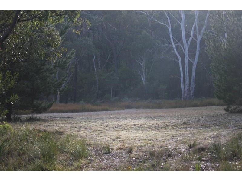 46-50 Pearce Street, Hill Top NSW 2575