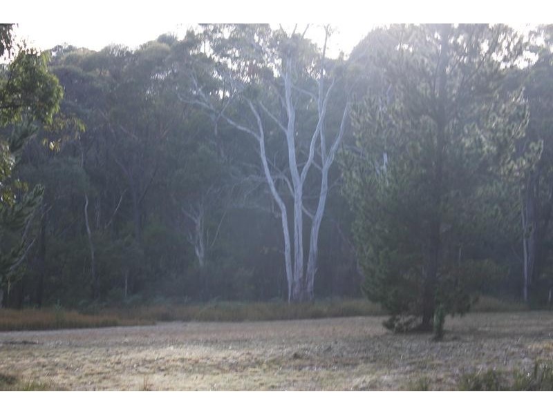 46-50 Pearce Street, Hill Top NSW 2575