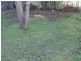 213 Argyle Street, Moss Vale NSW 2577