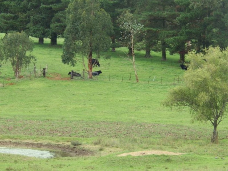 Lot 22 Nowra Road, Moss Vale NSW 2577