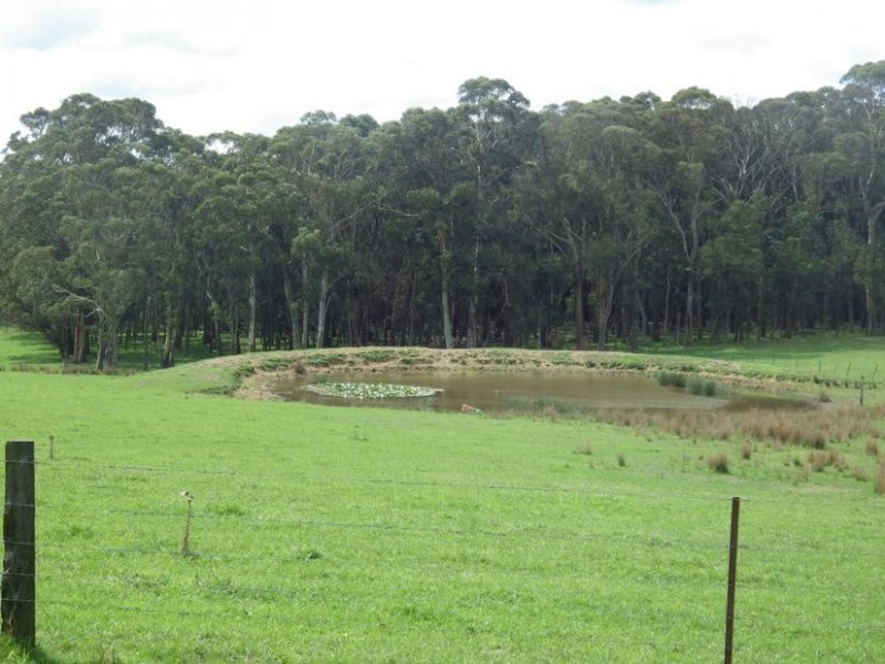 489 Nowra Road, Moss Vale NSW 2577