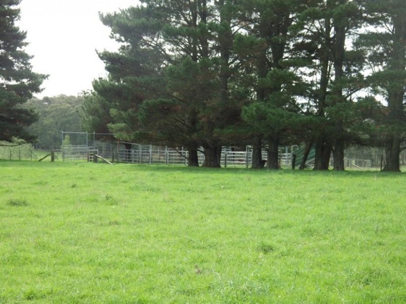 489 Nowra Road, Moss Vale NSW 2577