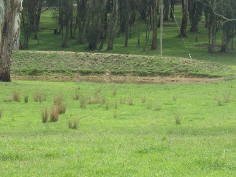 489 Nowra Rd, Moss Vale NSW 2577