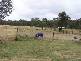 519 Caoura Rd, Tallong NSW 2579