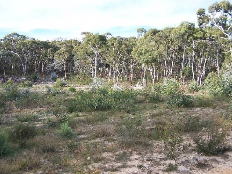 420 Mulwaree Drive, Tallong NSW 2579