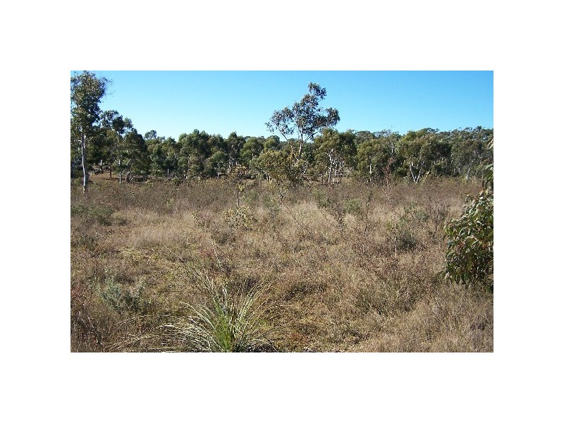 803 Redgum Drive, Tallong NSW 2579