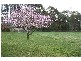 Lot 2 Redhills Road,, Fitzroy Falls NSW 2577