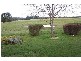 Lot 2 Redhills Road,, Fitzroy Falls NSW 2577