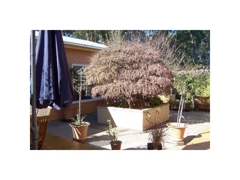 Lot 32 Pile Street, Exeter NSW 2579