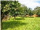 84 Lytton Road, Moss Vale NSW 2577